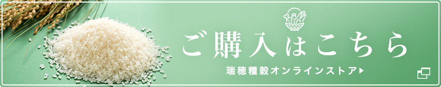 特別栽培米<br>穂垂米こしひかり