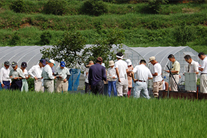 写真：栽培講習会等