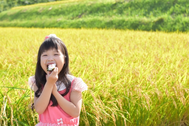 子供ごはん